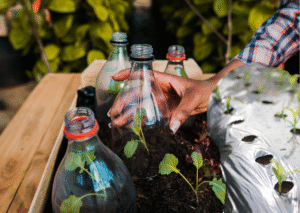 The Girl Who Planted Change in a Plastic Field